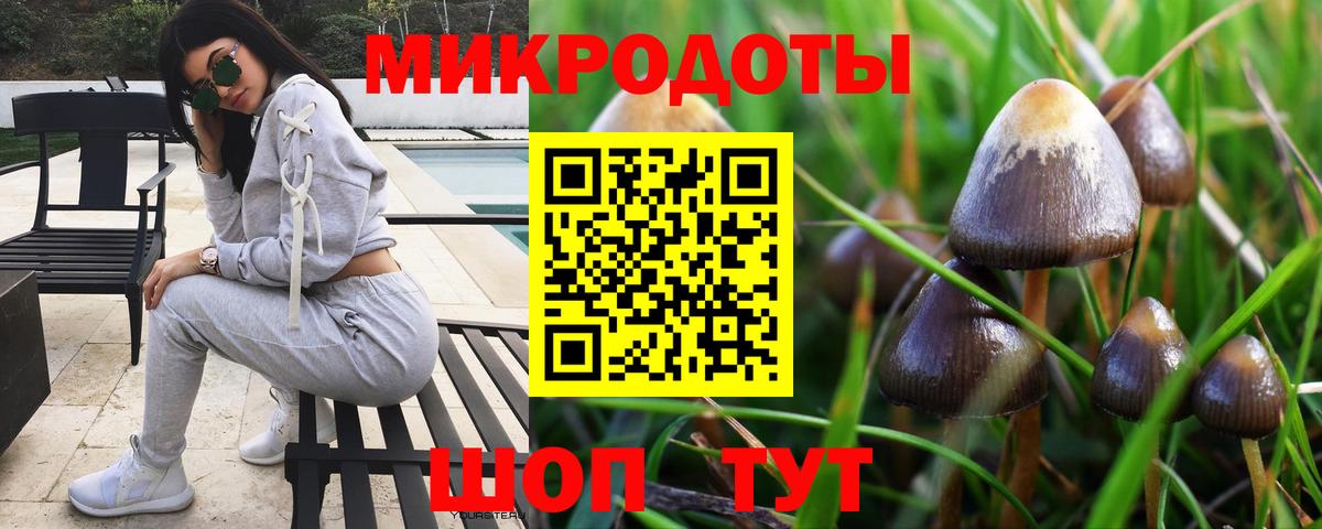 Псилоцибиновые грибы GOLDEN TEACHER Звенигород